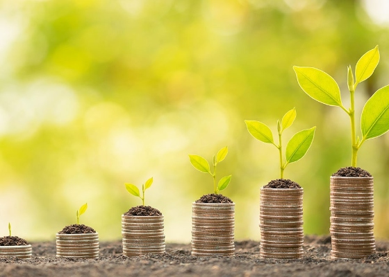a stack of coins on the ground with plants growing